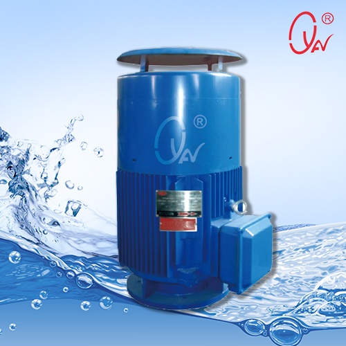 QZB潛水軸流泵 